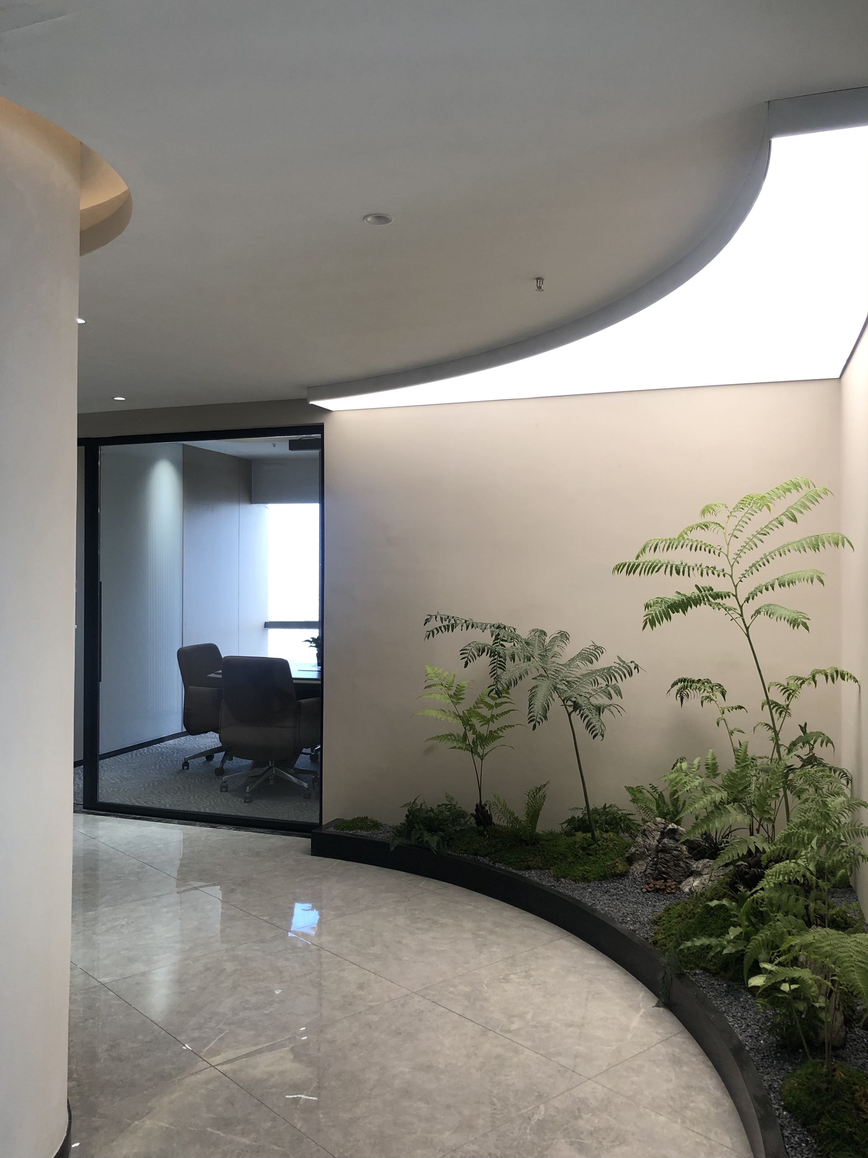 傢(jia)具(ju)公司辦公(gong)傢(jia)具(ju)配套案(an)例(li)之(zhi)公司綠(lv)植(zhi)